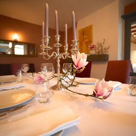 Hotel Restaurant Le Lion D'or